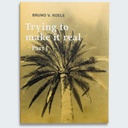 Bruno V. Roels. Trying To Make It Happen - Part I & II